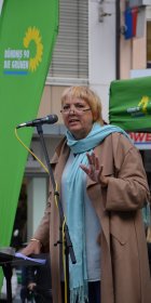 Claudia Roth in Würzburg - 2017